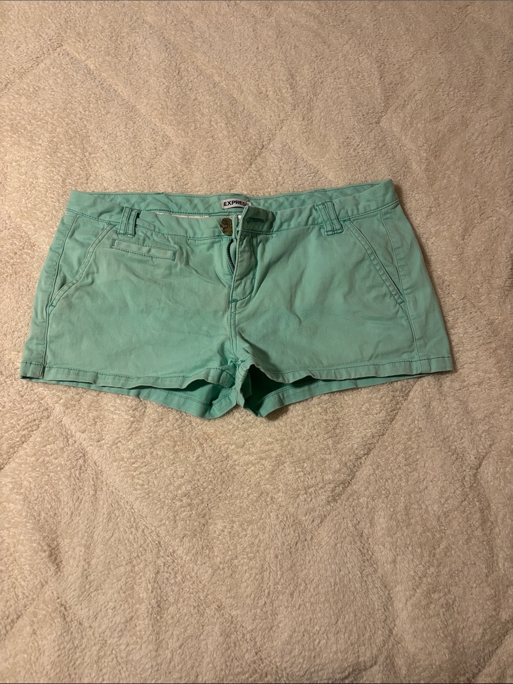 Express Women's Mint Green Cotton Shorts